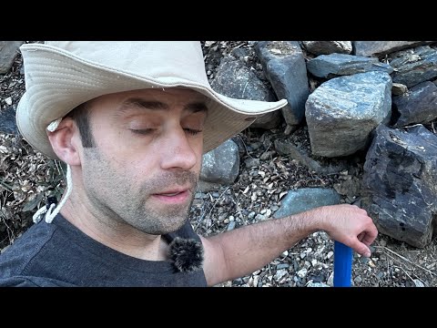 Gin Blossoms - Pieces of the Night - 1/12/2011