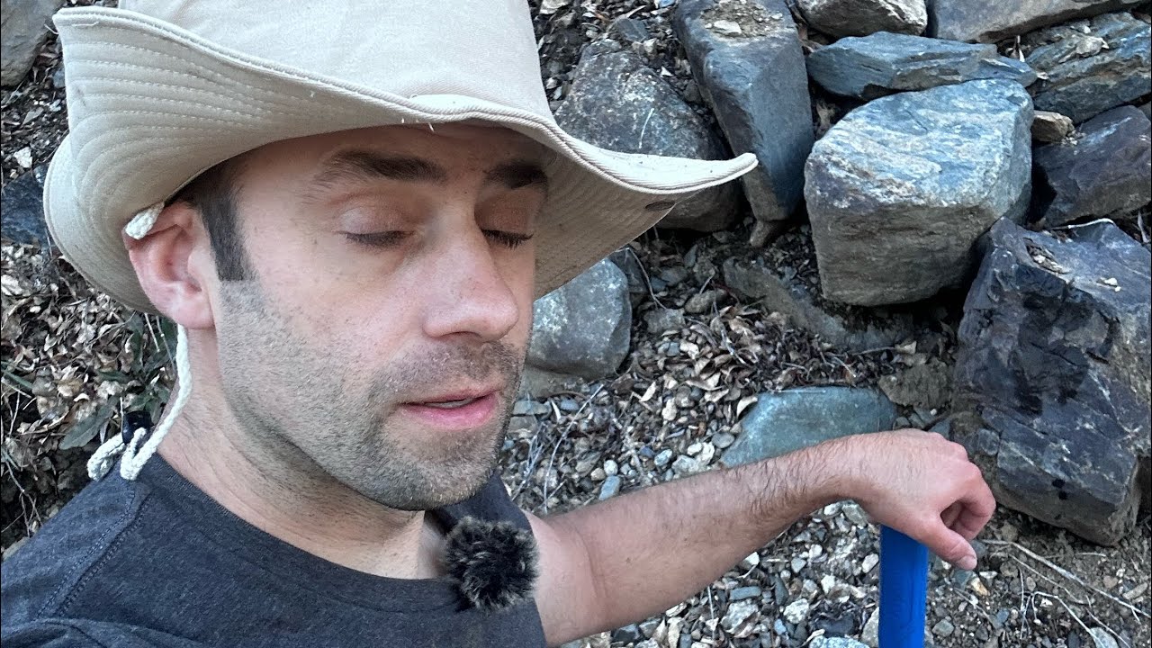 Прямая трансляция обновления канала из Финикса.