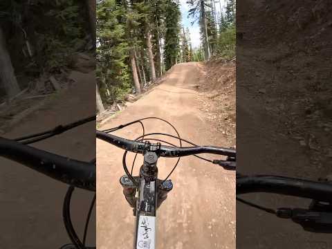 I Cased Them Both What About It 