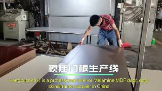 Interior 6 Panel Moulded HDF MDF Melamine Door Skin