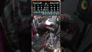 EuclidX + Slew = Decay Envelopes ⚡ #o_c #firmware