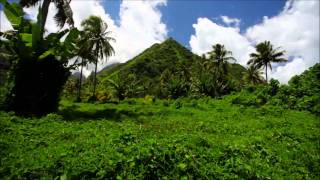 Plexi & Frutti - Hangjegysziget Dieter Bohlen Style Hdhq