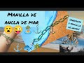 Manilla de Ancla de Mar🏝 ( Azul y Verde💚💙) DIY⛵🏝🔗😁😉