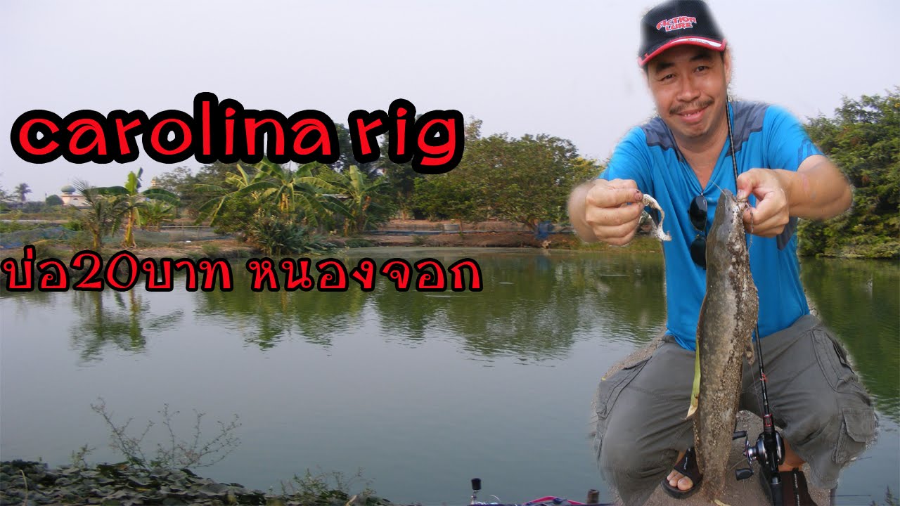 เดินลูกอ็อดแบบ carolina rig บ่อ20บาท,Carolina rig - YouTube