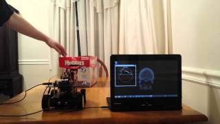 robot sonar vision test