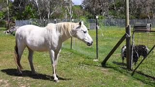 Now Selling | 2 Vallence Drive, Murrumbateman