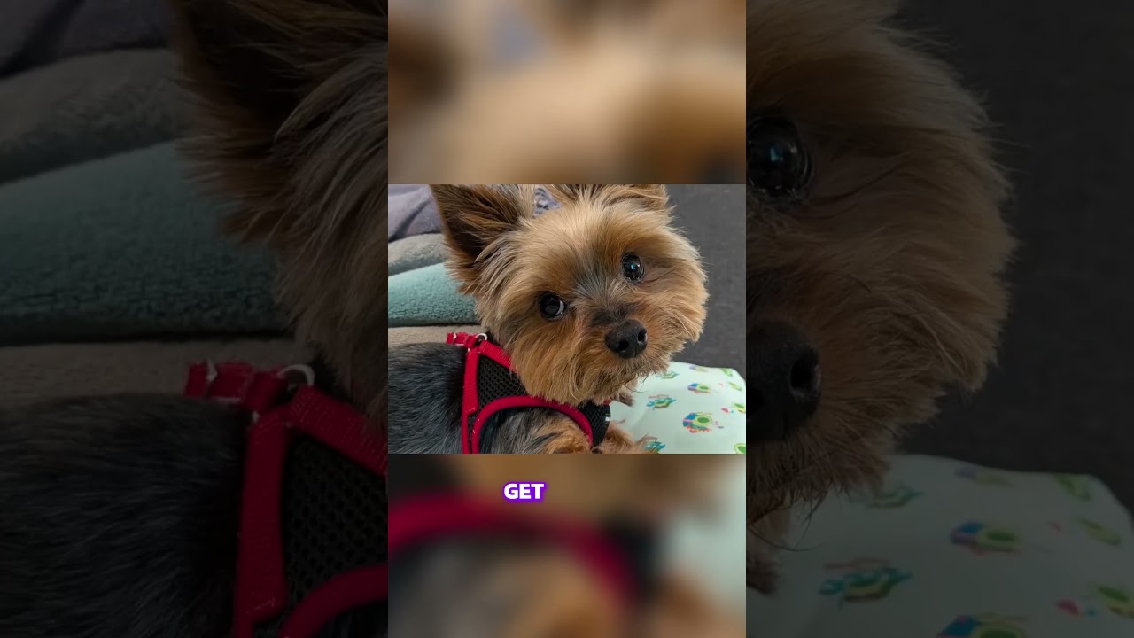 Тест камеры Google Pixel 10 Pro Fold