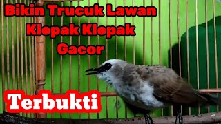 Download Lagu Bikin Trucuk Lawan Klepak Klepak Gacor Dan Di jamin Langsung Emosi MP3