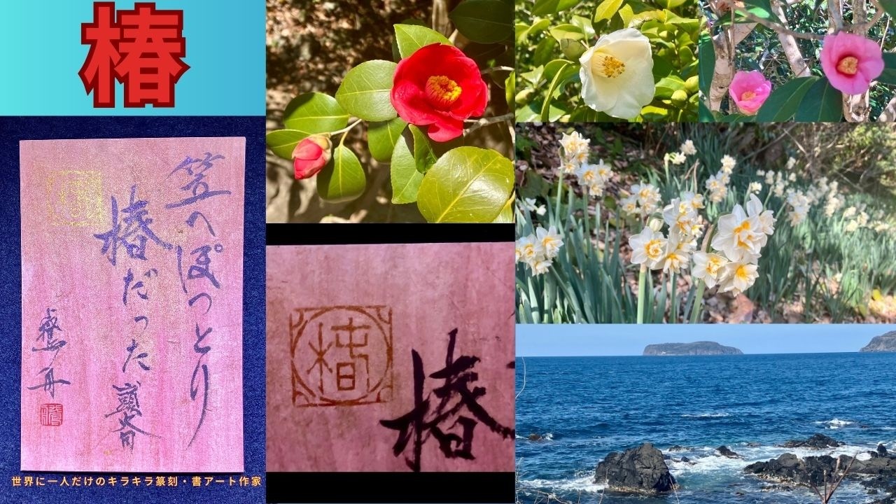 ２色の雲母を使ってくすみ紅色に紙をキラキラ彩色。｢椿｣の印影は赤銅色と金色のチタンでキラキラ加工。紫色の雲母を加えた墨で山頭火の椿の句をキラキラ毛筆書。笠山群生林とその近くの日本海と水仙の動画付き！