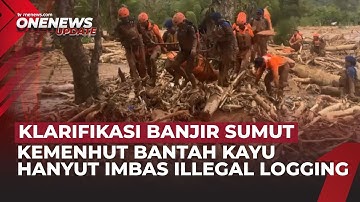 Kayu Gelondongan di Banjir Tapanuli, Kemenhut: Pepohonan Tua, Tumbang Alami | OneNews Update