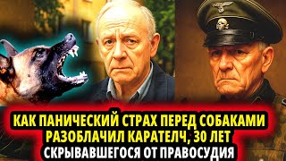 КАК ПАНИЧЕСКИЙ СТРАХ ПЕРЕД СОБАКАМИ РАЗОБЛАЧИЛ НЕМЕЦКОГО КАРАТЕЛЯ 30 ЛЕТ СКРЫВАВШЕГОСЯ ОТ ПРАВОСУДИ