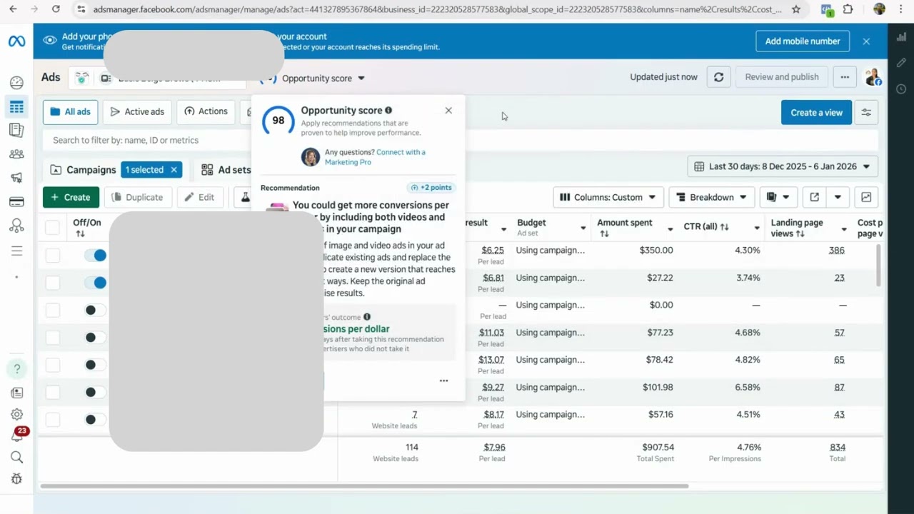 Optimizing Ad Sets versus Ads
