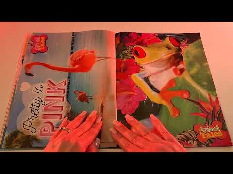 ASMR | Soft and Cozy Page Turning to Put You to Sleep - No Talking