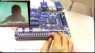 Skin detection on FPGA