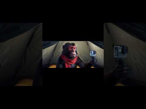 Banana tost + Drone Tost = Babloo vlog #monkey #monkeyvlogger #funny #trending #shorts #viral