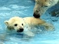 2011年動画ニュースハイライト(2)4~6月編