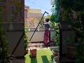 all about plant stands #balconygarden #entrancedecor #plants #gardening #shorts #youtubeshorts