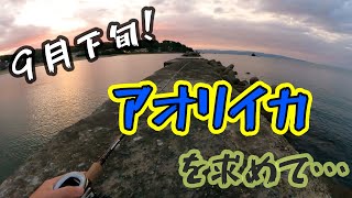 【エギング】9月下旬エギング