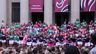 USC Sorority Bid Day 2013 Extended Highlights