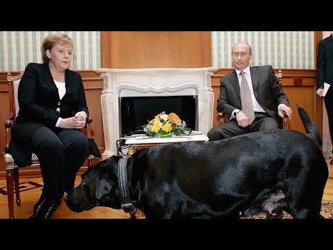 Putin Brought Dog to Meeting With Merkel