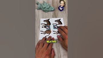 Does this classic IQ puzzle still exist?#puzzle#iqtest#iq