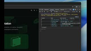 Mintlify WebMCP Support