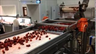 OctoFrost Frozen- IQF Berries: Strawberries