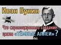 ТЁМНЫЕ АЛЛЕИ Ивана Бунина ЧТО СПРОВОЦИРОВАЛО на создание цикла ???