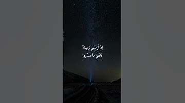 * سورة  العنكبوت* القارئ : عبد الرحمن مسعد* Surah  al-'ankabut* Reader : abdulrahman mossad