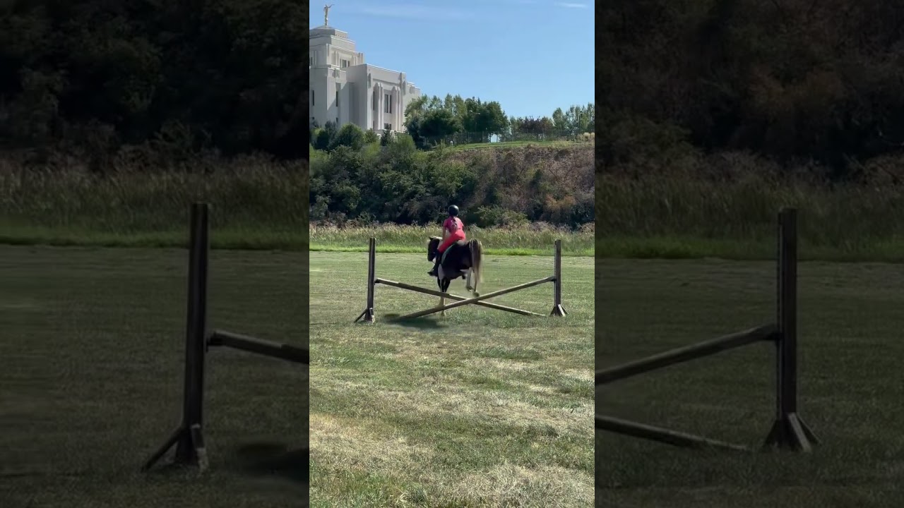 When xc yesterday!!! I did jump some small logs aswell