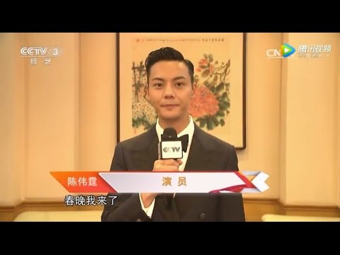 【陳偉霆】《CCTV文化十分》2017央視春晚採訪