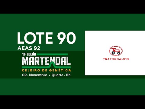 LOTE 90   AEA 92