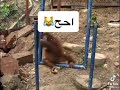 #احح