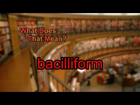 What does bacilliform mean?