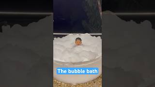 The bubble bath  #bubblebath #bathwater #poonpoontv