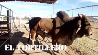El Tortillero Rancho Selección Oaxaqueña Vs Canelo De Ocotlan