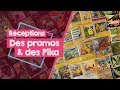 Mes rceptions 23  des promos et des pika