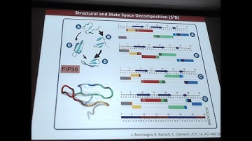 Cecilia Clementi - Workshop on Free Energy, Kinetics, & MSM in Drug Design 2018