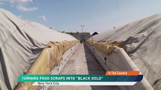 Turn Food Scraps Into Black Gold