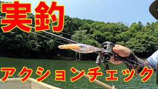 2025年7月 メガバス プロップダーター106　レベルスイマー2025モデル等を実釣テストしてきました その1 オープニング