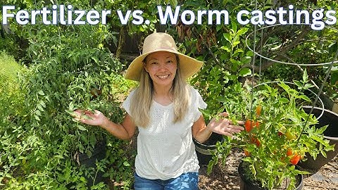 Worm castings vs. fertilizer - which works better?