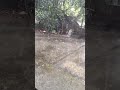 কক্সবাজারে সারা রাত ধরে বৃষ্টি চলছে থাকবে এভাবে সাত দিন । আবহাওয়া অফিস কক্সবাজার।