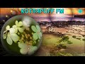 КОТЛЯРОFF FM (04.05. 2021) Новые пахаления.