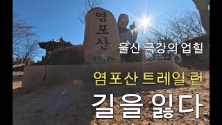 염포산 영상