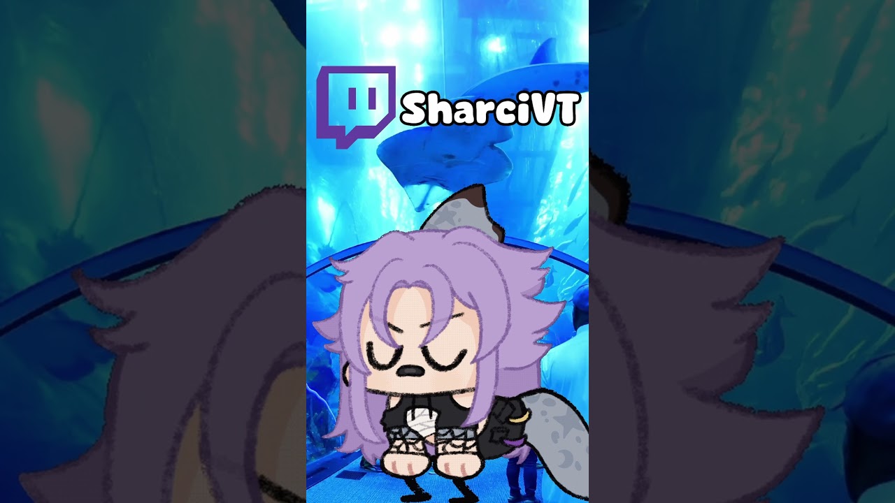 I WILL NOT HAVE A STINKY CHAT #vtuber #smelly #chat #shark