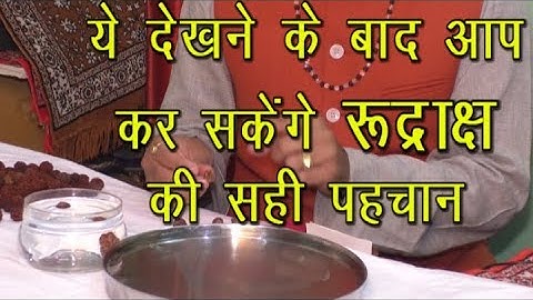 Rudraksha Test How To Check Origina#Rudraksh#Real Fake Rudraksha#ek mukhi#panch mukhi#6 mukhu#7mukhi