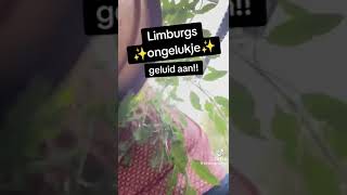 Limburgse Vrouw Valt Van Trap