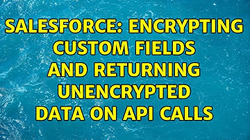 Salesforce: Encrypting custom fields and returning unencrypted data on API calls