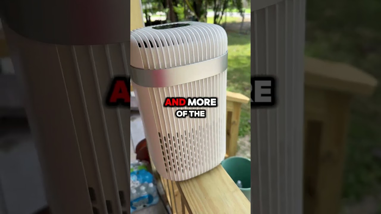 Amazon Freebies of the week!