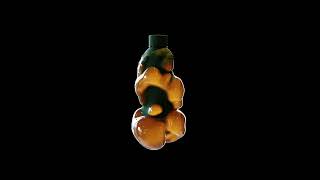 Inflate any bottle #motiongraphics  #3dsinghvfx #geometrynodes
